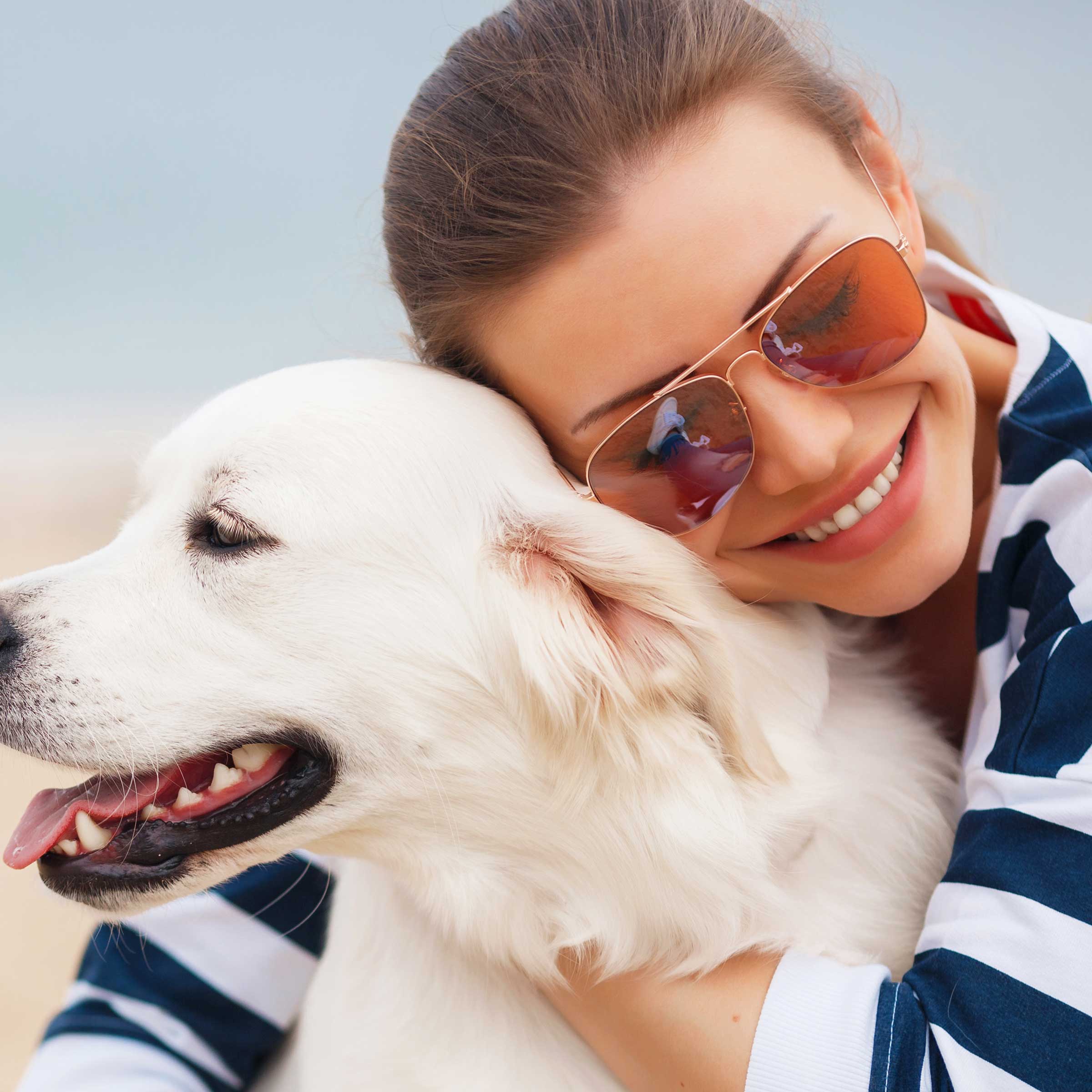 maître qui embrasse le chien