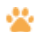 icone patte orange